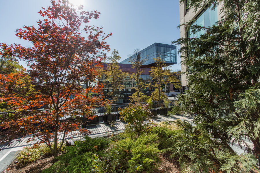 The Doyle Apartments Outside Landscape Architects