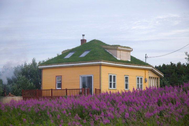 Newfoundland Green Roof