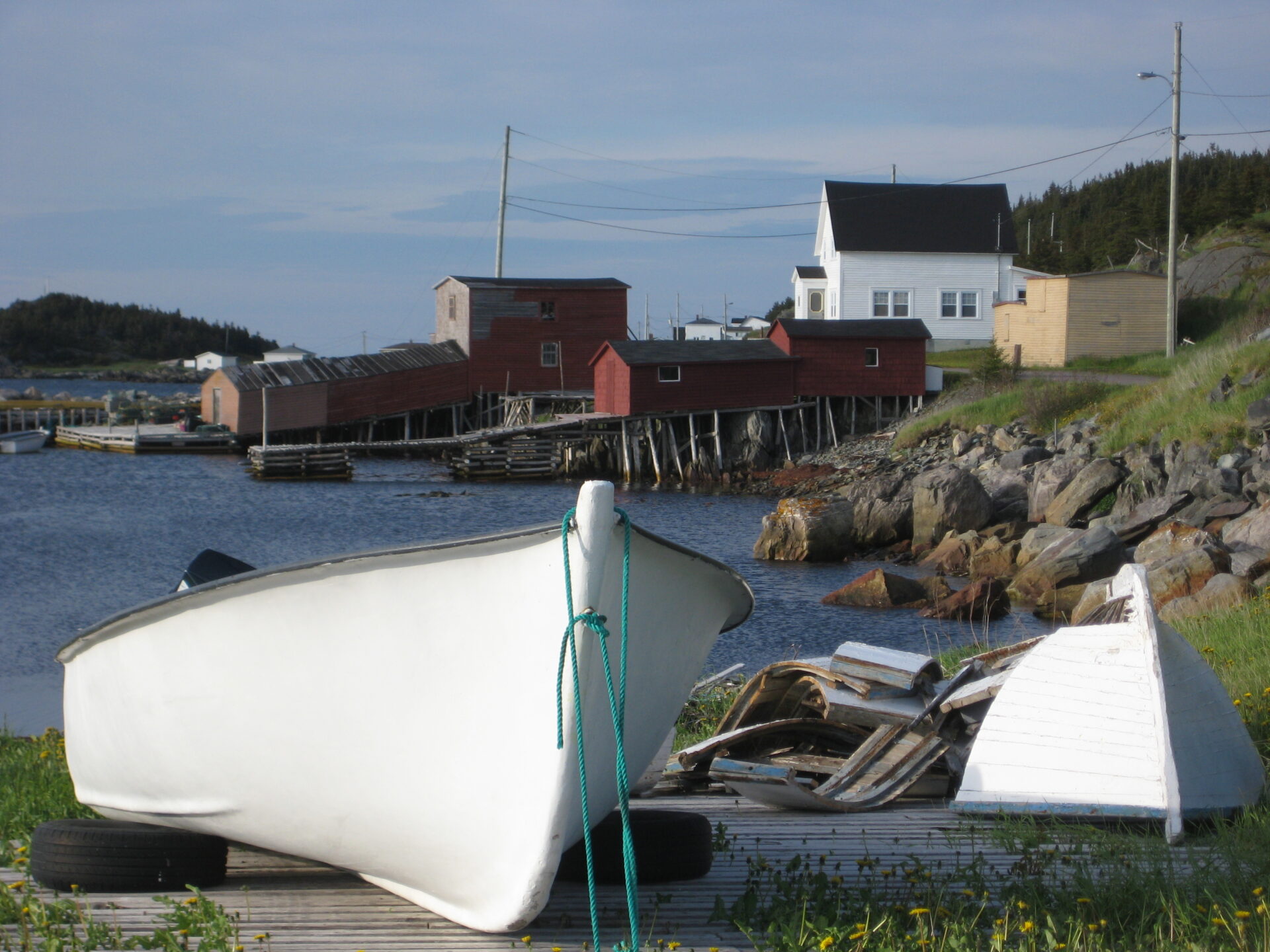 Green Roof Newfoundland